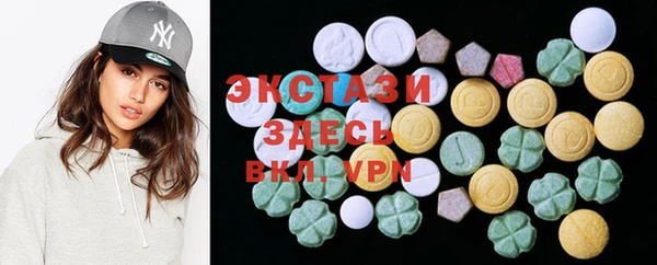 ECSTASY Покачи