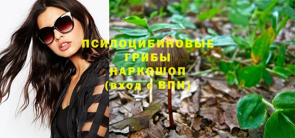ГАЛЛЮЦИНОГЕННЫЕ ГРИБЫ Покров