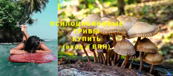 ГАЛЛЮЦИНОГЕННЫЕ ГРИБЫ Покров