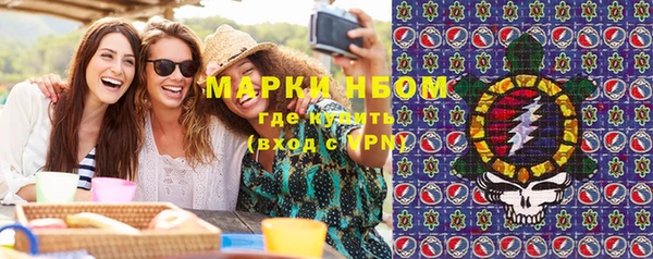 ГАЛЛЮЦИНОГЕННЫЕ ГРИБЫ Покров