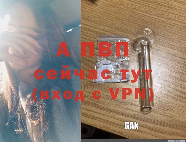 ГАЛЛЮЦИНОГЕННЫЕ ГРИБЫ Покров